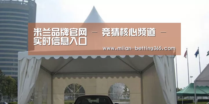 案例标题八