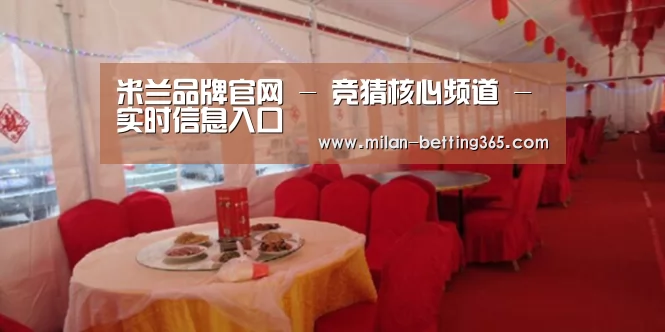 案例标题二